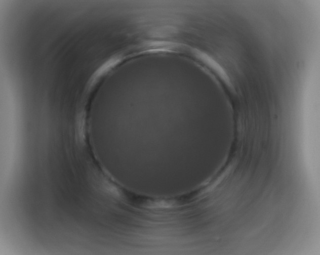 X0000113951411200910021456