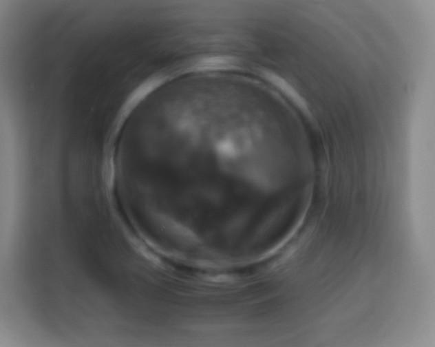 X0000113951413200910021456