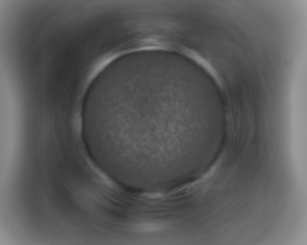 X0000113951415200910021456