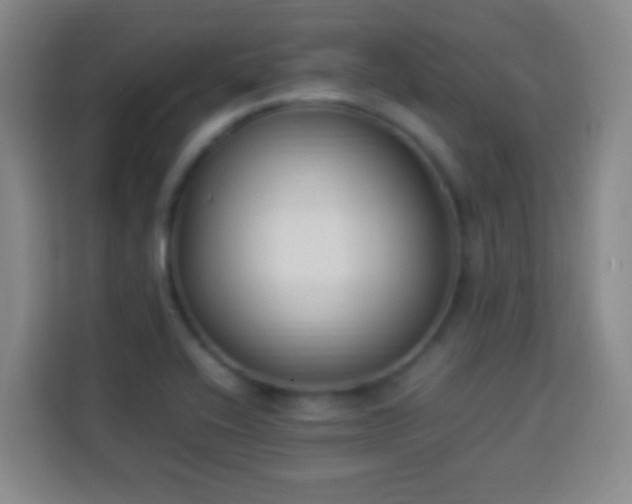 X0000113951416200910021456