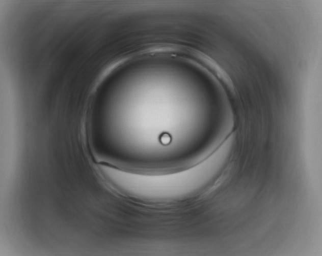 X0000113951417200910021457