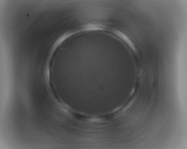 X0000113951419200910021457