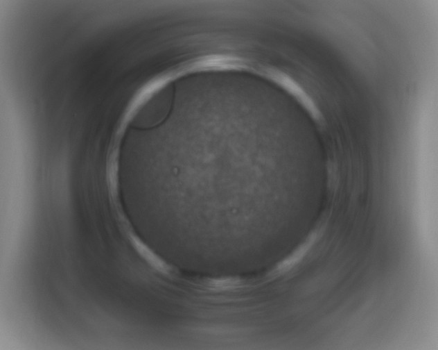X0000113951421200910021457