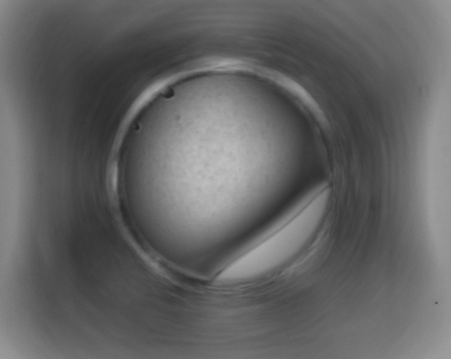 X0000113951424200910021457