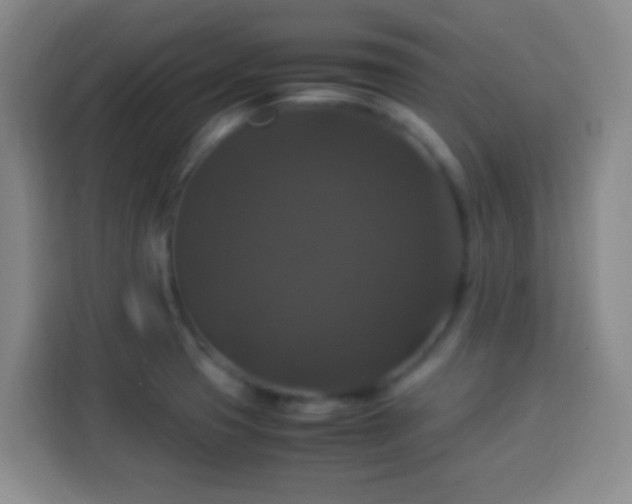 X0000113951425200910021457