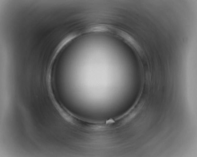 X0000113951426200910021457