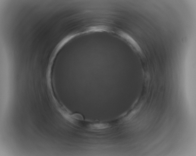X0000113951427200910021457