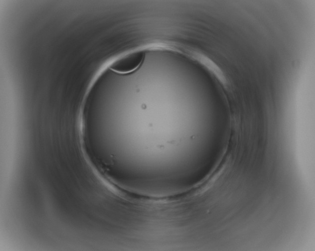 X0000113951428200910021457