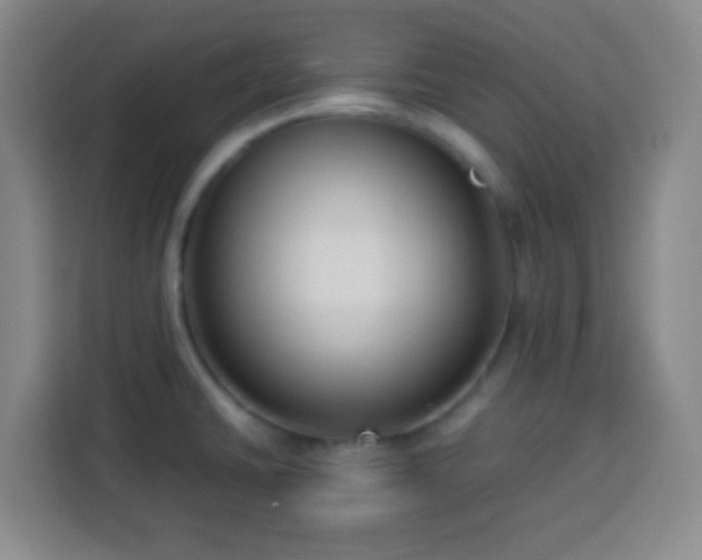 X0000113951430200910021457