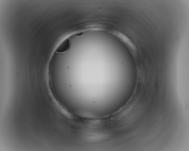 X0000113951431200910021457