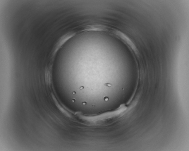 X0000113951433200910021457