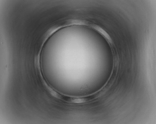 X0000113951439200910021457