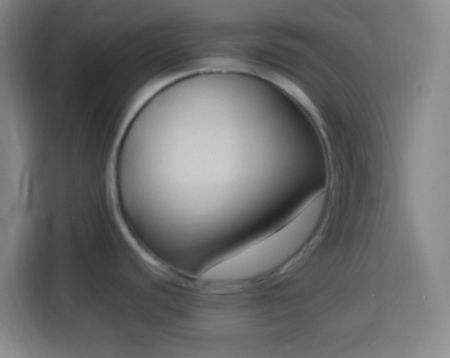 X0000113951440200910021457