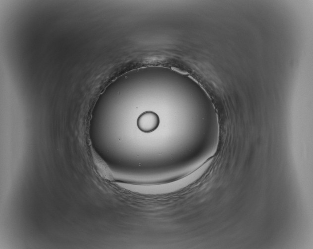 X0000113951441200910021456