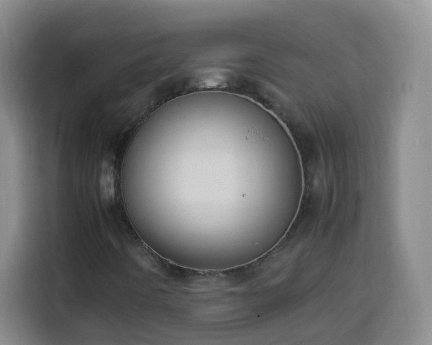 X0000113951442200910021456