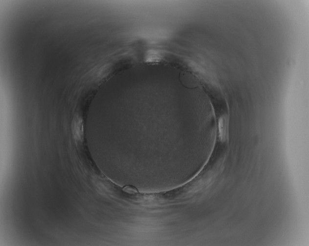 X0000113951443200910021456