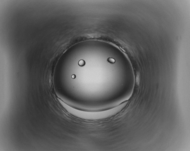 X0000113951444200910021456
