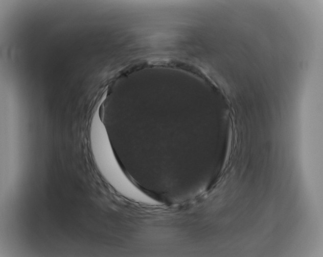 X0000113951445200910021456