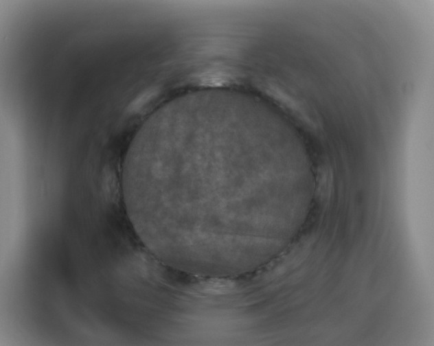 X0000113951446200910021456
