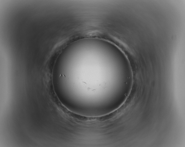 X0000113951447200910021456