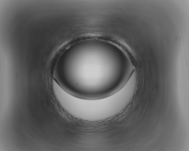 X0000113951448200910021456