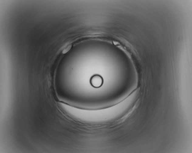X0000113951449200910021456