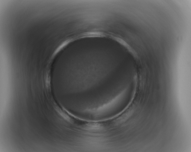 X0000113951450200910021456