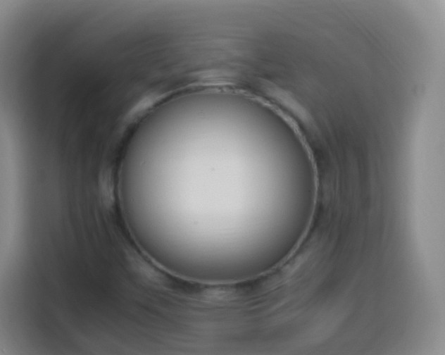 X0000113951451200910021456
