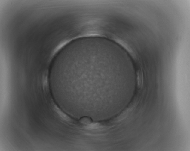 X0000113951452200910021456