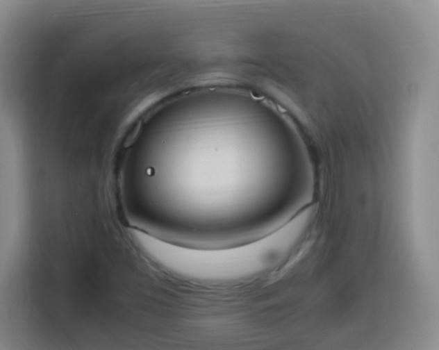 X0000113951453200910021456