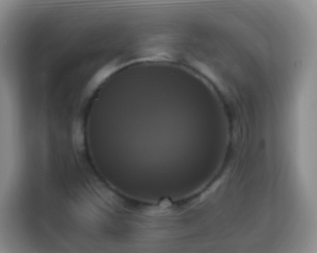 X0000113951455200910021456