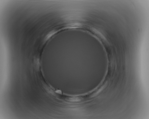 X0000113951457200910021456