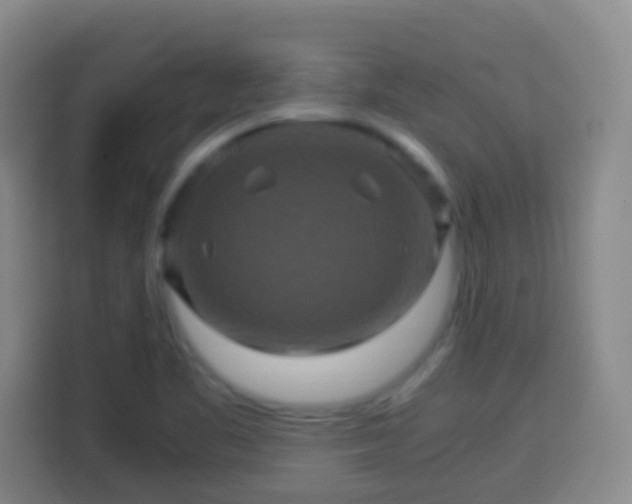 X0000113951461200910021456