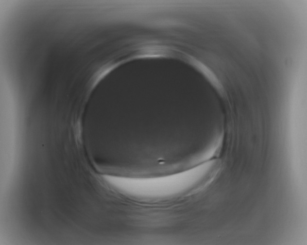 X0000113951465200910021456
