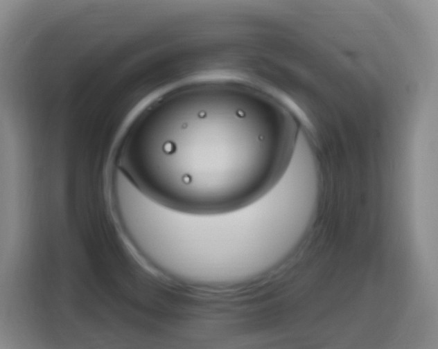 X0000113951468200910021456