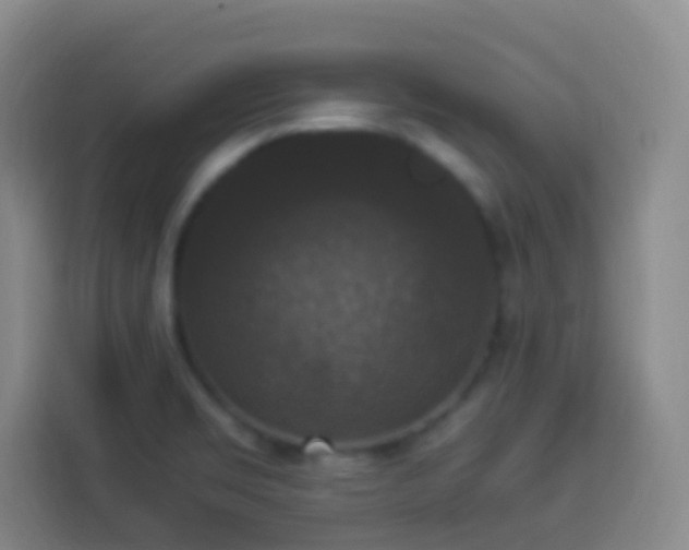 X0000113951469200910021456