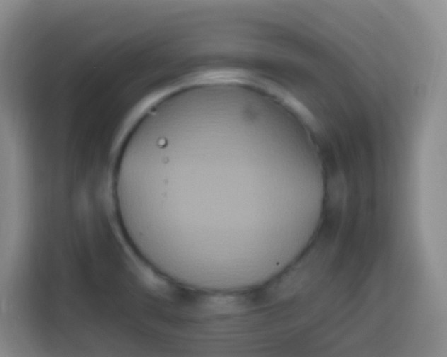 X0000113951470200910021456