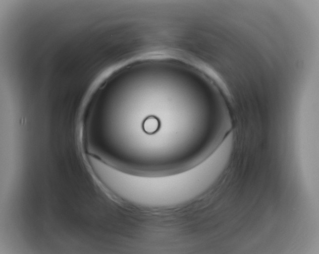 X0000113951472200910021456