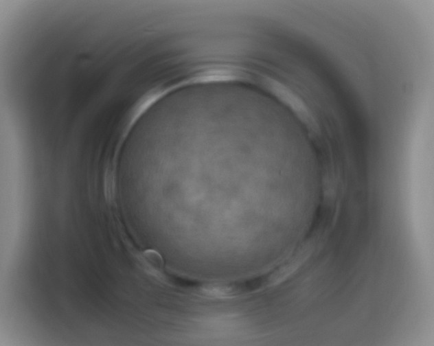 X0000113951473200910021456