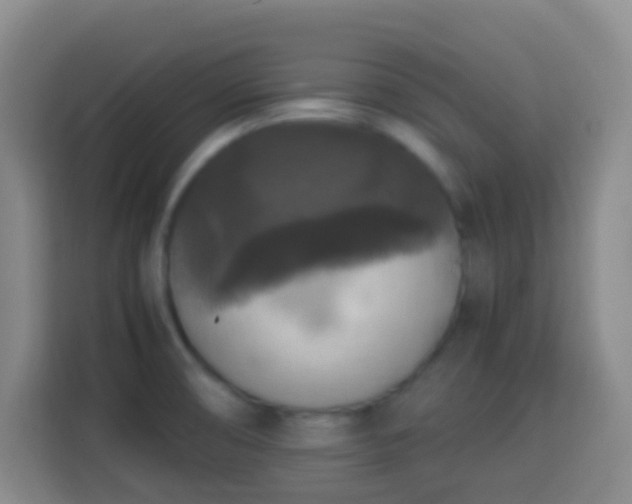X0000113951474200910021456
