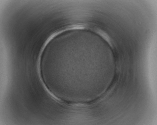 X0000113951475200910021456