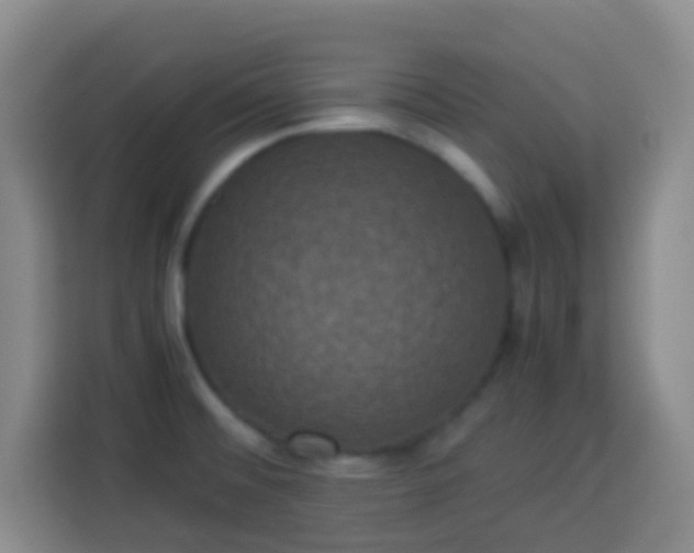 X0000113951476200910021456
