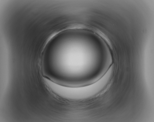 X0000113951481200910021456