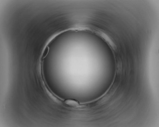 X0000113951484200910021456