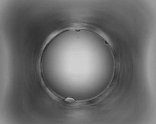 X0000113951485200910021456