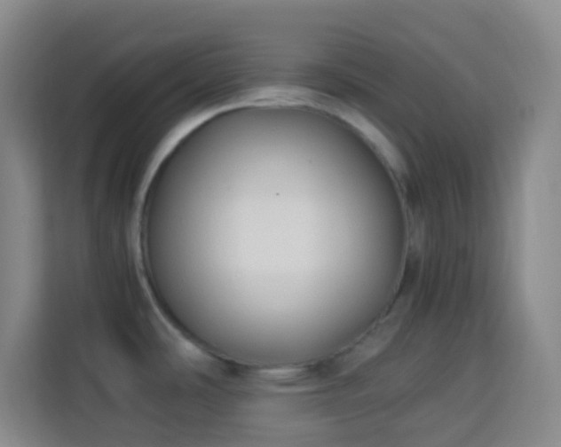 X0000113951486200910021456