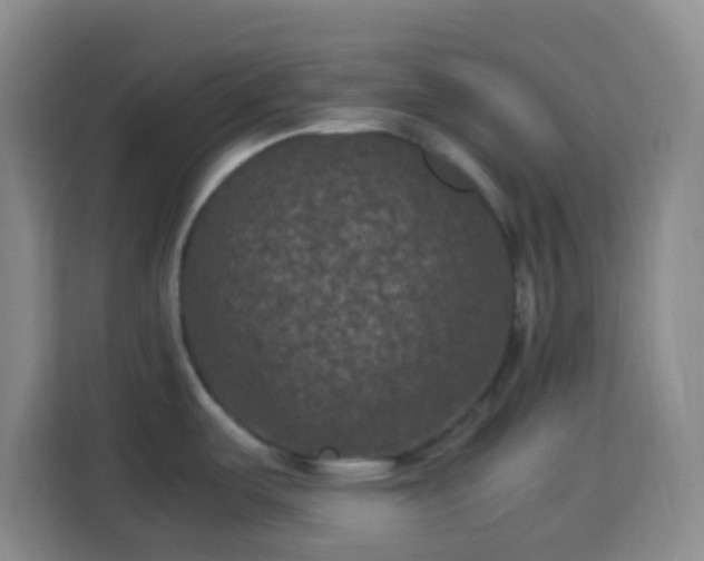X0000113951487200910021456