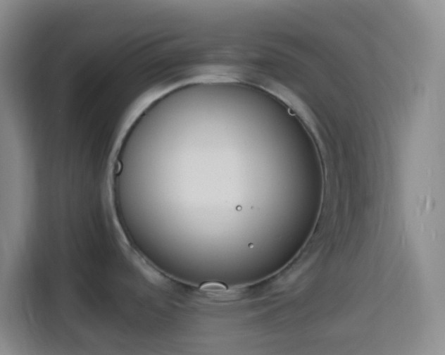 X0000113951488200910021456