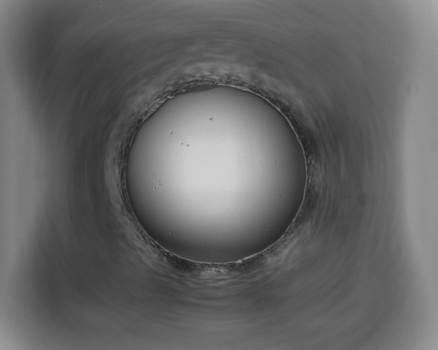 X0000113951489200910021455