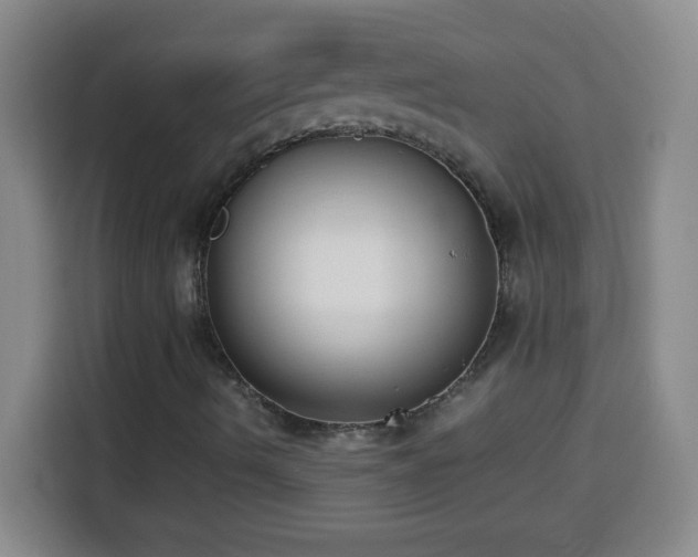 X0000113951490200910021455